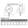 Манометр 232.50.100 радиальный Дк100мм 0-25 бар G1/2" Wika 9060219 (36495599)