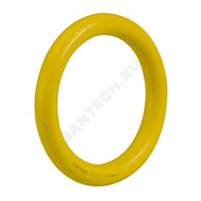 Прокладка NBR кольцевая Дн 22 P51RG Giacomini P51RGY009