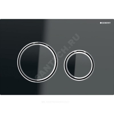Кнопка для инсталляции Sigma 21 Geberit 115.884.JK.1