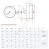 Манометр ТМ-310Т.00 осевой Дк63мм 0-1,0 МПа G1/4" Росма 00000010928