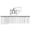 Кран шаровой сталь газ КШ.Ц.Ф Ду 65 Ру16 фл полнопроходной LD КШ.Ц.Ф.GAS.065.016.П/П.02