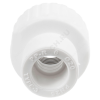 Муфта PP-R комбинированная белая ВР Дн 25х1/2" RTP (РосТурПласт) 10654