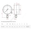 Манометр ТМ-310Р.00 радиальный Дк63мм 0-0,6 МПа G1/4" Росма 00000006770